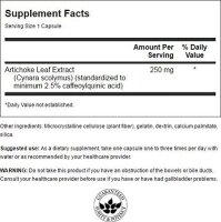 Swanson Artichoke Extract, 60 Kapsel